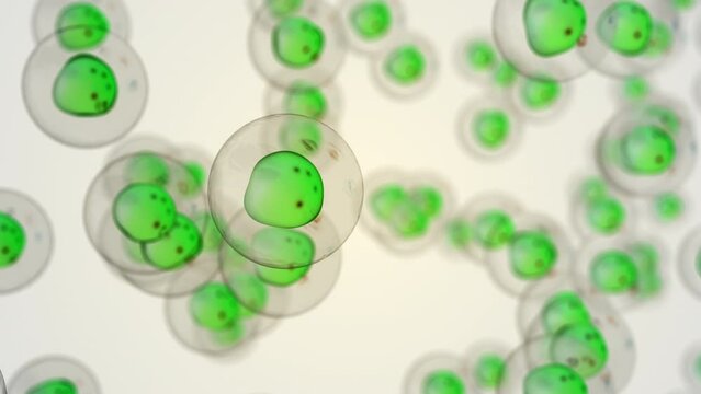Medical animation of cancer cells