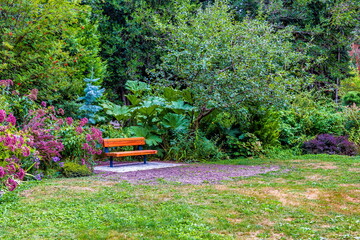 Spring. Resting place at Paulik Neighbourhood Park of Richmond City. Picnic Bench under the canopy...