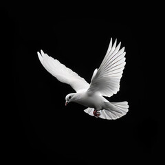 Graceful Contrast: White Dove Soaring Against a Background of Darkness, Symbolizing Hope and Serenity