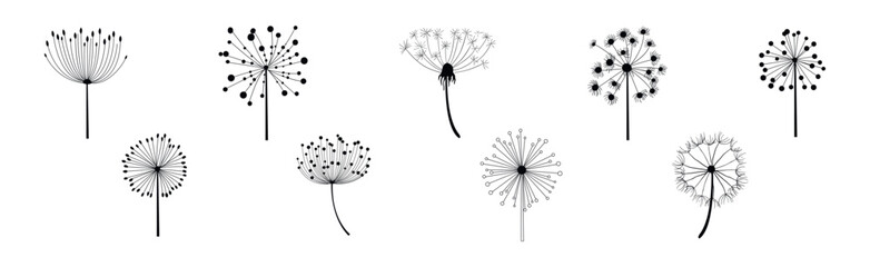 Black Dandelion Flower on Stem with Fluffy Head Vector Set