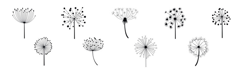 Obraz premium Black Dandelion Flower on Stem with Fluffy Head Vector Set
