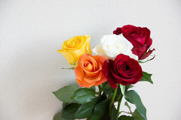 色とりどりのバラ