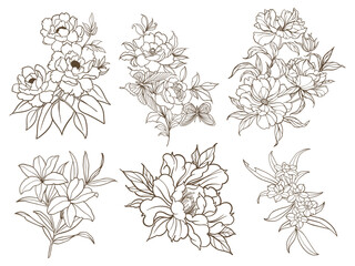 Set Flower Decoration Outline Hand Drawing