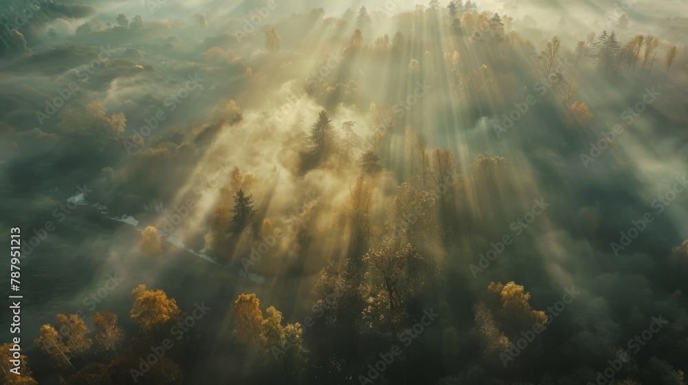 Poster Airview light and shadows in mist. First rays of sun through fog and trees.
