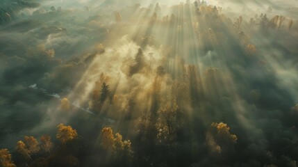 Airview light and shadows in mist. First rays of sun through fog and trees.