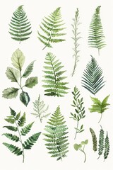 A watercolor botanical pattern featuring a variety of green and orange leaves, ferns, and foliage. Natural and organic design perfect for backgrounds, textiles, and nature-inspired projects.