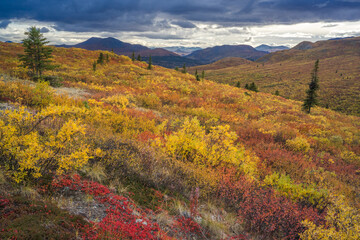 Whitehorse Yukon