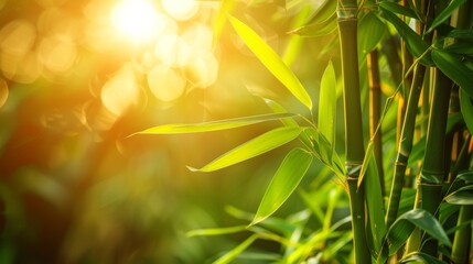 A close up of a bamboo plant with the sun shining through, AI