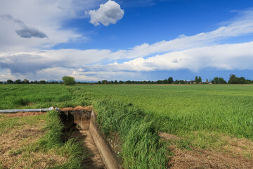 Po Valley Italy Europe landscape nature naturalistic - 787967428