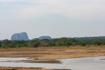 Yala National Park, Southern and Uva Provinces, Sri Lanka