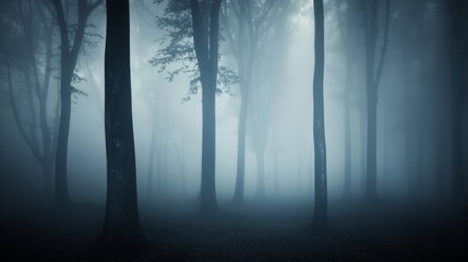 Tree silhouettes in a dark misty forest. Osnabruck, Germany