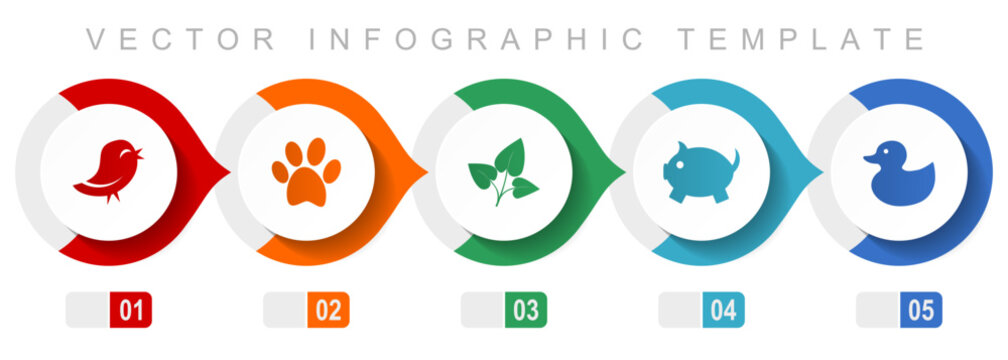 Nature flat design infographic template, miscellaneous symbols such as bird, animal, leaf, pig and duck, vector icons collection