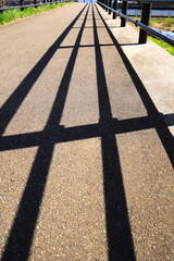 道路に落ちる影模様