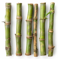 Obraz premium Green Bamboo Sticks Arranged on White
