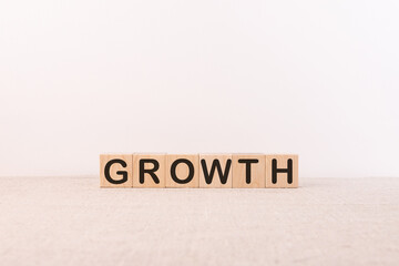 GROWTH word made with wood building blocks.