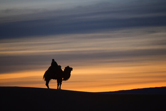 Silhouette of a person riding a Bactrian camel (Camelus bactrianus) at sunset, Gobi Desert, Mongolia