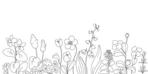seamless minimal Hand drawn botanical flowers and leaf vector in Spring and summer collection