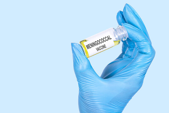 MENINGOCOCCAL VACCINE text is written on a vial whose ampoule is held by a hand in a medical disposable glove. Medical concept.
