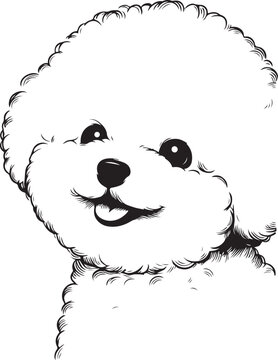 cute Bichon Frise dog pet cartoon outline, vector line art illustration, isolated on transparent background