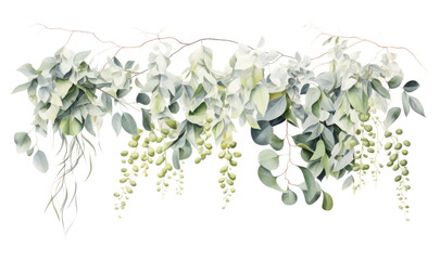 PNG Garland eucalyptus Swags plant leaf vine