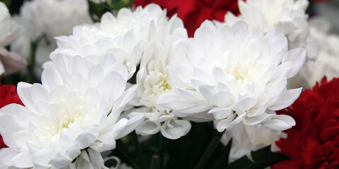Carnation flowers bouquet