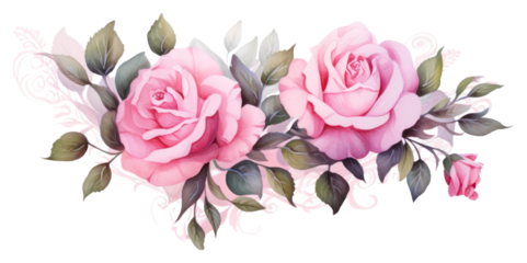 PNG Garland rose flower plant inflorescence