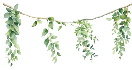 Fototapeta na wymiar PNG Garland three hanging plant leaf