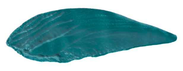 Shiny green brush watercolor painting isolated on transparent background. watercolor png