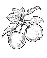 illustration of a apricots  Ai generative 