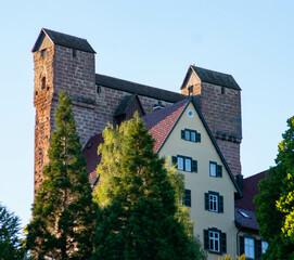 Fototapeta na wymiar Schildmauer Burg in Berneck bei Altensteig