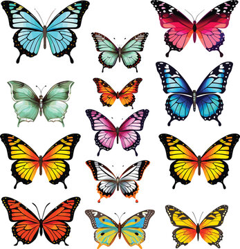 Stock Vector, Big Collection of Colorful Butterflies.