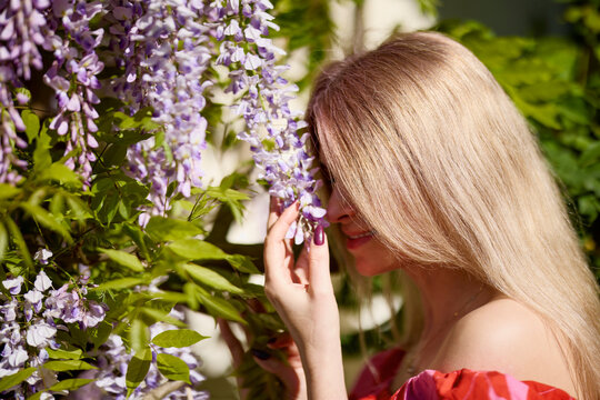 A beautiful blonde woman near a blooming wisteria on a sunny day.
