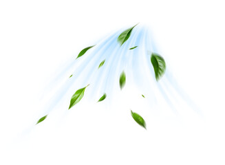 Green Floating Leaves Flying Leaves Green Leaf Dancing on transparent background png file