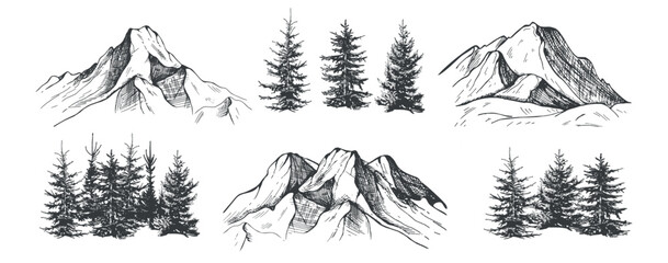 collection of elements of mountains and fir trees vector sketch