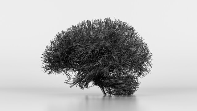 Brain connections, illustration