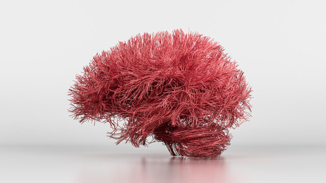 Brain connections, illustration