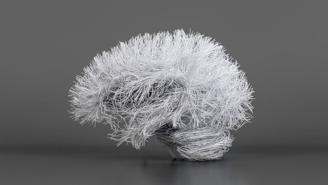 Brain connections, illustration