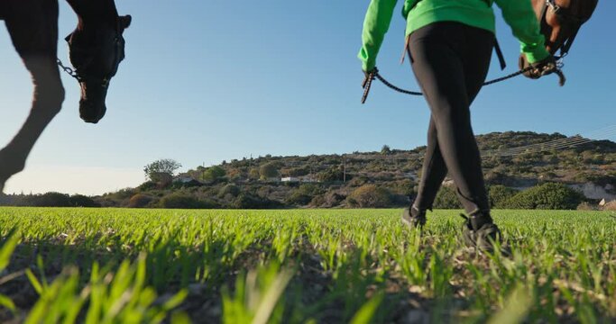 Two women trainers are walking with their horses on the green grass of the ranch field. Beautiful animals care and care for them. High quality 4k footage