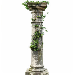 Architecture, antique column and vine with growth of plant, nature and leaves on ancient stone structure. Greek pillar, arch and sculpture for garden, landmark or vintage landscape on studio backdrop