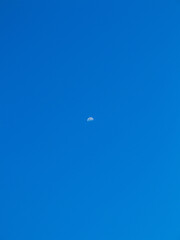 Luna isolata su cielo blue, 