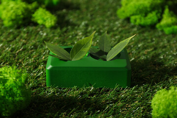 Eco house concept, green rosette with leaves