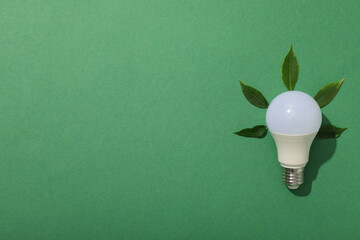 A light bulb with leaves on a green background