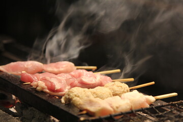 Traditional yakitori chicken stand in Japan