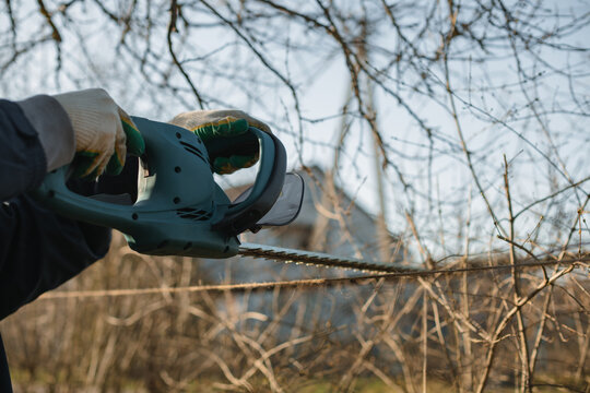 Close-up of a man trimming branches in a garden with an electric hedge trimmer