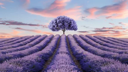  Amazing blooming landscape with purple lavender fields in summer in France © JovialFox