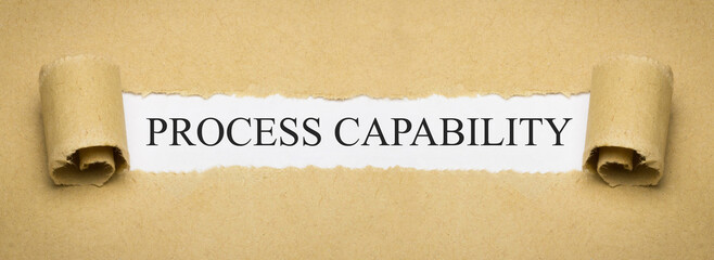 Process capability