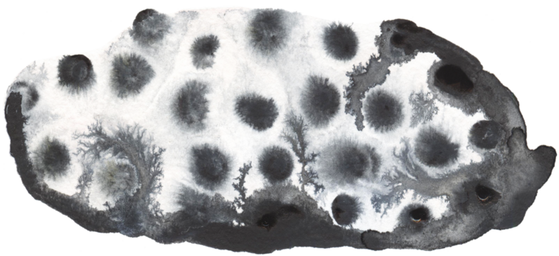 Watercolor abstract spot. Watercolor hand-drawn color brush strokes texture. Watercolor print for textile, wallpaper, wrapping. Watercolor minimalistic shape.