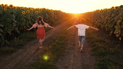 Boy and girl kids running on road at sunflower field flying plane imagine sunset light back view....