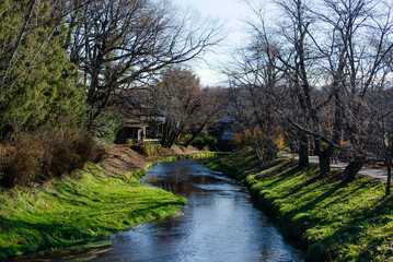 Fototapeta na wymiar The scenic view of a small river in Japan