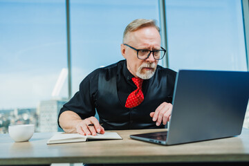 The man is a stylish freelancer, a gray-haired businessman on a workplace in the office. Adult bearded boss in the office